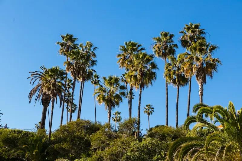 Laguna Treatment Center (CA)